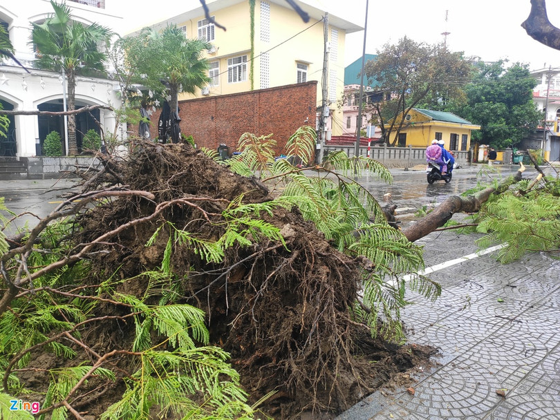 Bệnh viện, trường học tốc mái do bão Vamco