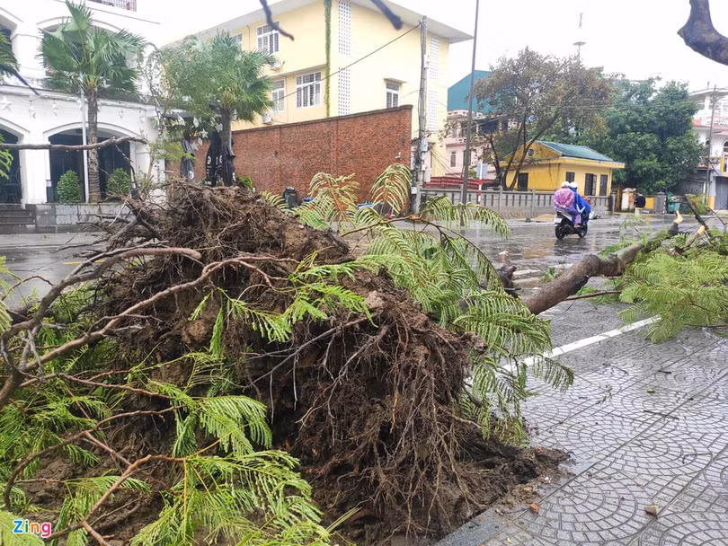 Bệnh viện, trường học tốc mái do bão Vamco