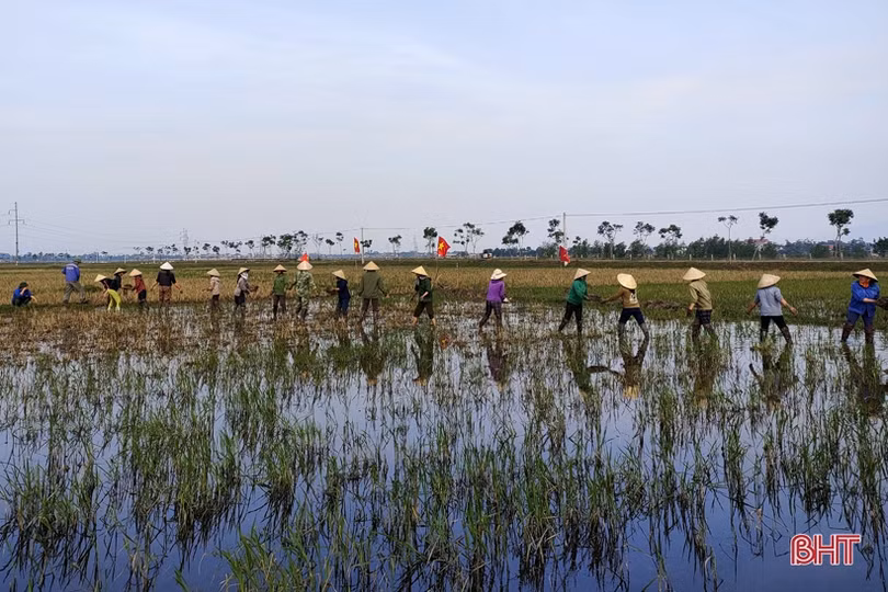 Hà Tĩnh đẩy nhanh khôi phục sản xuất gắn với xây dựng nông thôn mới