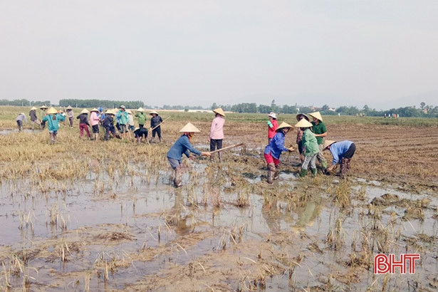 Người dân Thạch Liên phá bỏ ô thửa nhỏ, hình thành cánh đồng lớn trong vụ xuân 2021