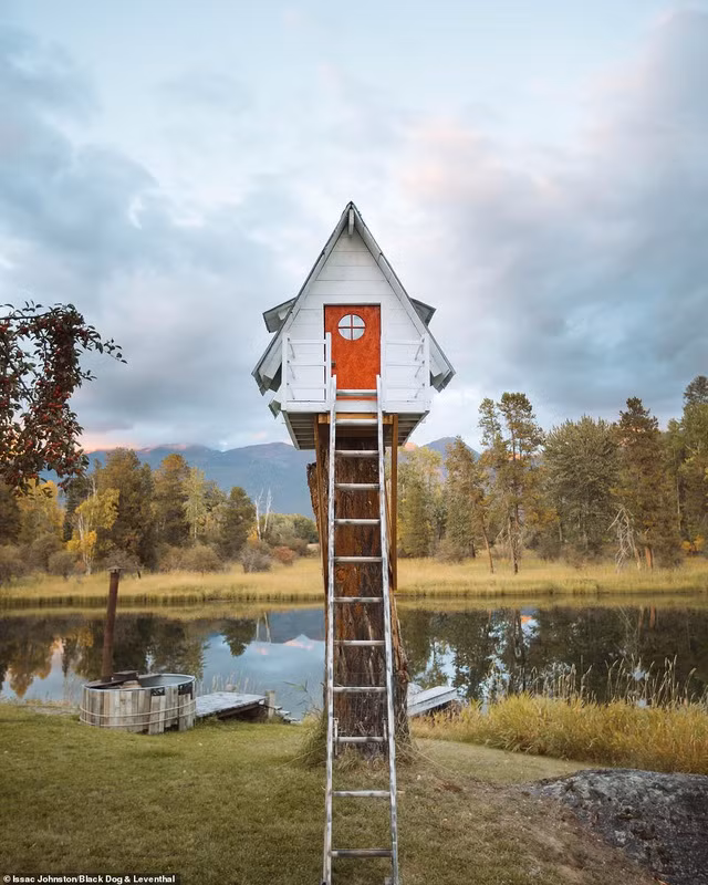 Bộ ảnh kể về phong cách sống “bỏ phố, về rừng”