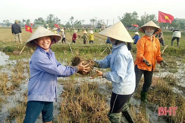 Người dân Thạch Liên phá bỏ ô thửa nhỏ, hình thành cánh đồng lớn trong vụ xuân 2021
