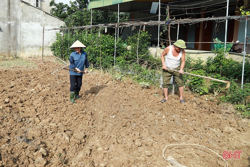 Hà Tĩnh đẩy nhanh khôi phục sản xuất gắn với xây dựng nông thôn mới ảnh 4 Hà Tĩnh đẩy nhanh khôi phục sản xuất gắn với xây dựng nông thôn mới