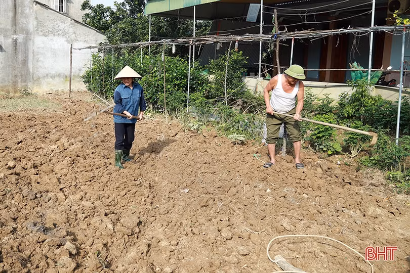 Hà Tĩnh đẩy nhanh khôi phục sản xuất gắn với xây dựng nông thôn mới
