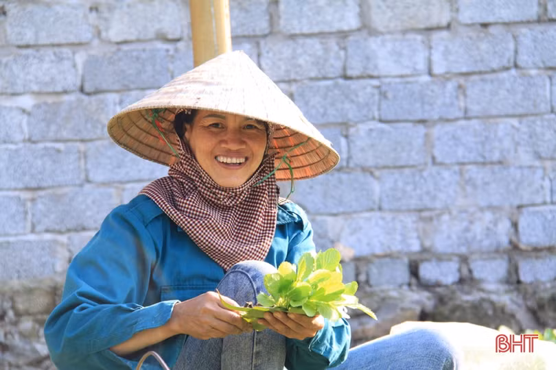 Anh nông dân Hà Tĩnh “cưỡi xế hộp” đi bán rau giống vụ đông