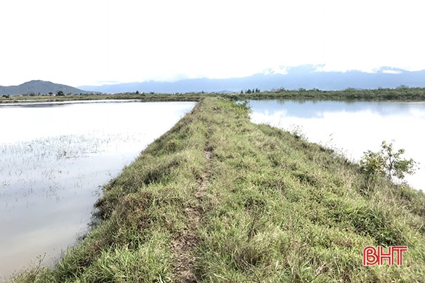 Tuyến đê bao sông Vịnh xuống cấp, hàng nghìn hộ dân thấp thỏm lo âu