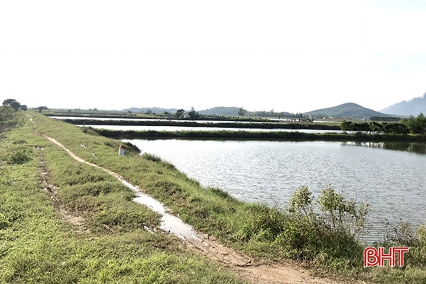 Tuyến đê bao sông Vịnh xuống cấp, hàng nghìn hộ dân thấp thỏm lo âu