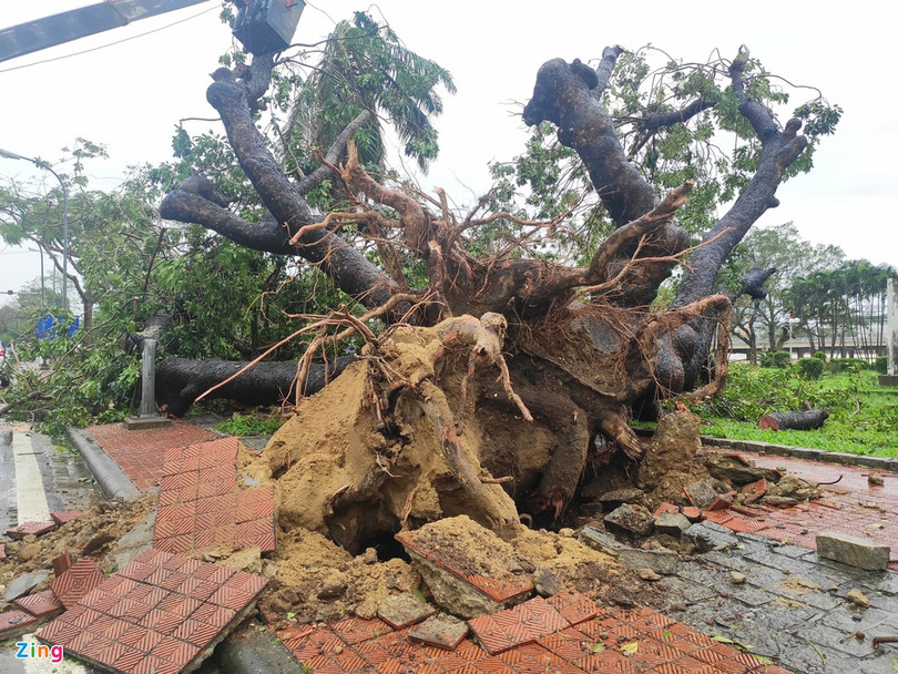 Bệnh viện, trường học tốc mái do bão Vamco