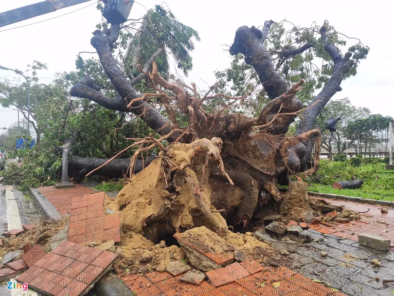 Bệnh viện, trường học tốc mái do bão Vamco