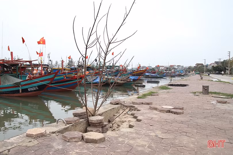 Bờ kè khu neo đậu tránh trú bão ở Hà Tĩnh sụt lún nghiêm trọng
