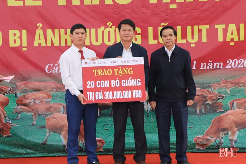 Agribank Hà Tĩnh II trao sinh kế, giúp người nghèo vực dậy sau lũ