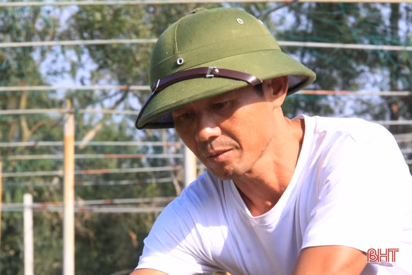 Anh nông dân Hà Tĩnh “cưỡi xế hộp” đi bán rau giống vụ đông