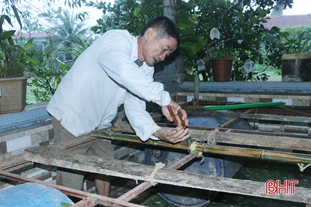 Người dân Vũ Quang tỉa cây, gia cố chuồng trại ứng phó với bão số 13