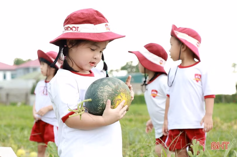 Hoạt động ngoại khóa giúp học sinh iSchool Hà Tĩnh phát triển toàn diện