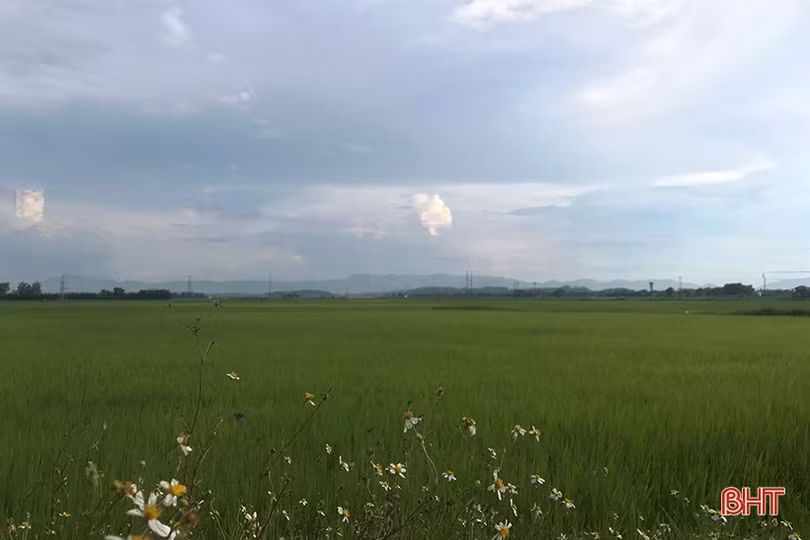 Trên quê hương “Làng đỏ” anh hùng