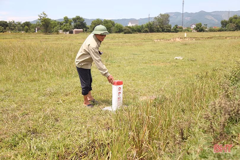 Hà Tĩnh phấn đấu hoàn thành kiểm đếm đất nông nghiệp GPMB cao tốc Bắc - Nam trong tháng 8