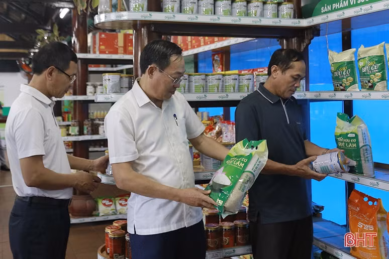 Can Lộc xúc tiến hợp tác với Tập đoàn Quế Lâm phát triển nông nghiệp hữu cơ