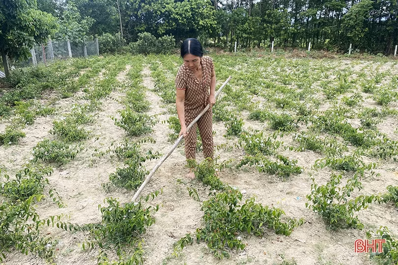 Kỳ Hoa đứng trước nguy cơ “lỡ hẹn” đạt chuẩn xã NTM nâng cao