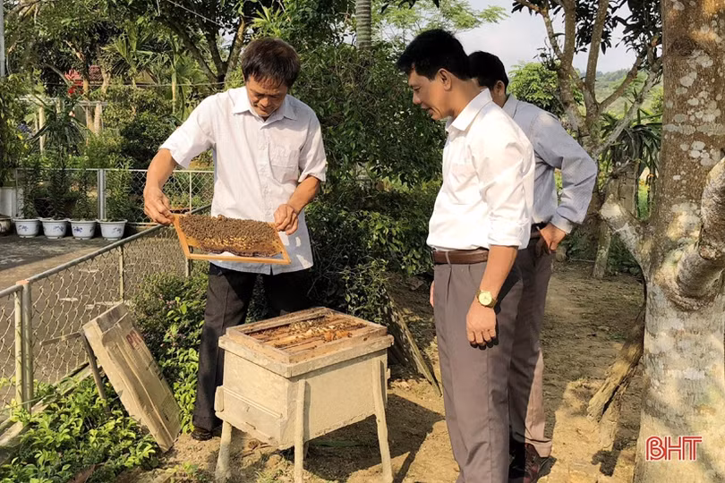 Mùa mật của người nuôi ong ở Vũ Quang