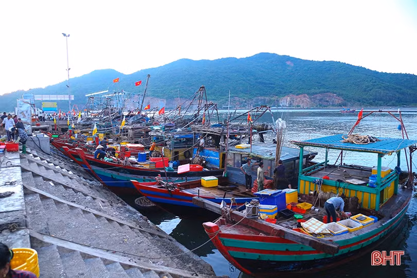Ngư dân Hà Tĩnh tích cực vươn khơi, hoạt động mua bán hải sản sôi động trở lại