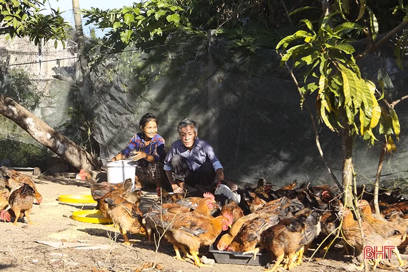 Cuộc sống hạnh phúc của người đàn ông khiếm thị giàu nghị lực