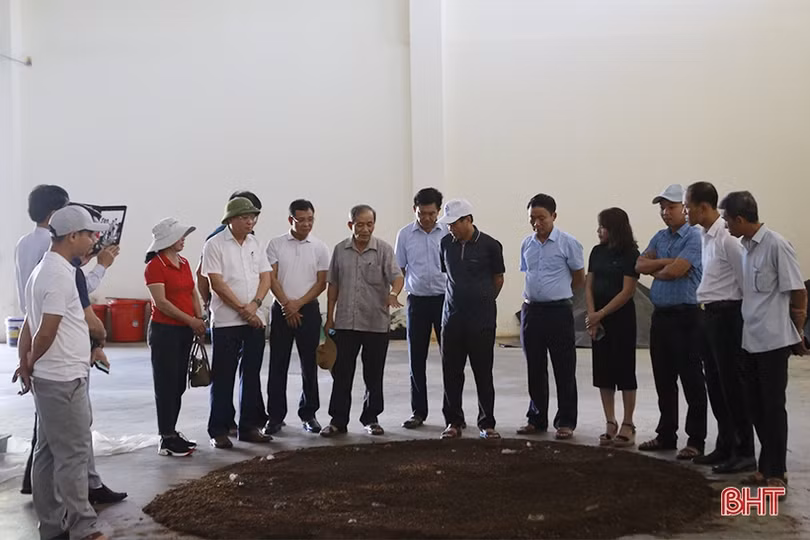 Can Lộc xúc tiến hợp tác với Tập đoàn Quế Lâm phát triển nông nghiệp hữu cơ