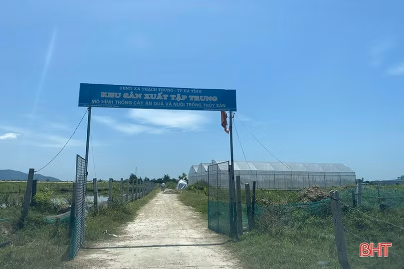 Tích tụ ruộng đất, nâng tầm nông nghiệp đô thị TP Hà Tĩnh