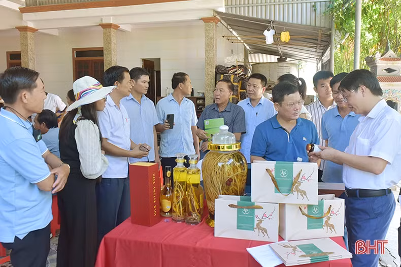 Đoàn công tác tỉnh Bôlykhămxay tham quan, học tập kinh nghiệm chăn nuôi hươu sao ở Hà Tĩnh