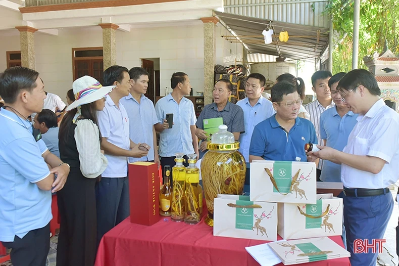 Đoàn công tác tỉnh Bôlykhămxay tham quan, học tập kinh nghiệm chăn nuôi hươu sao ở Hà Tĩnh