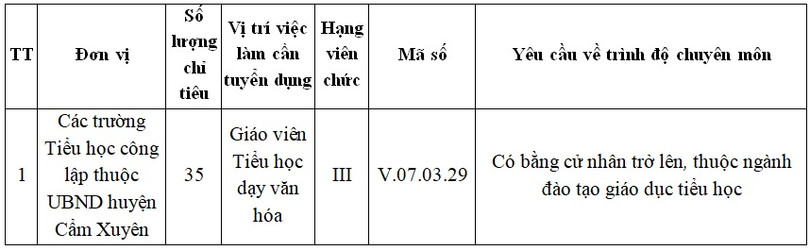 Cẩm Xuyên tuyển dụng 35 chỉ tiêu giáo viên tiểu học