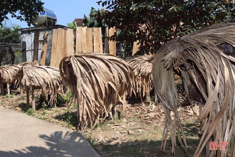 Mùa mật của người nuôi ong ở Vũ Quang