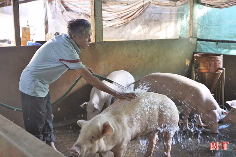 Cuộc sống hạnh phúc của người đàn ông khiếm thị giàu nghị lực