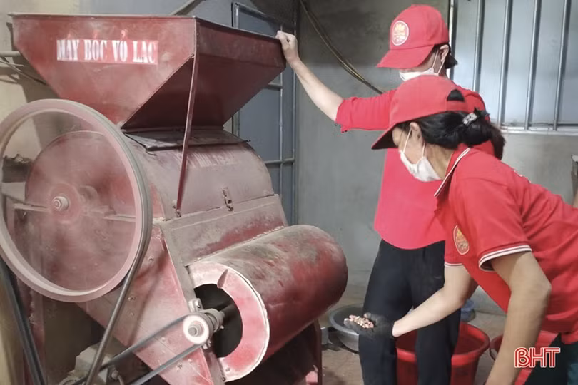 Nâng bước phụ nữ Hà Tĩnh phát triển kinh tế từ những ý tưởng khởi nghiệp