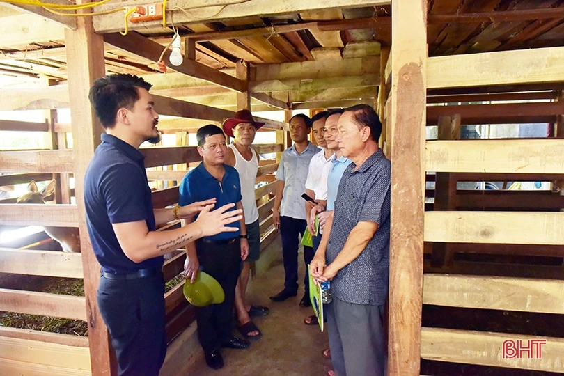 Đoàn công tác tỉnh Bôlykhămxay tham quan, học tập kinh nghiệm chăn nuôi hươu sao ở Hà Tĩnh