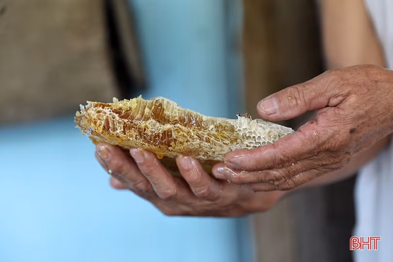 Kỳ Hoa đứng trước nguy cơ “lỡ hẹn” đạt chuẩn xã NTM nâng cao