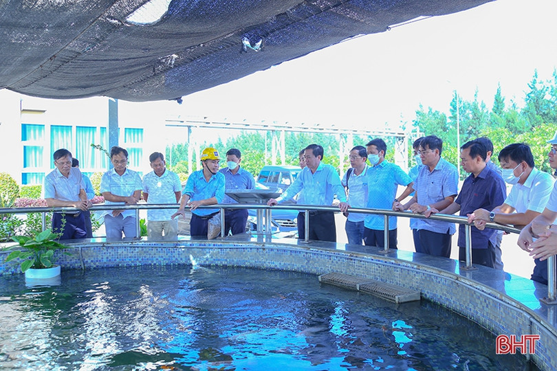 Đoàn công tác tỉnh Ninh Thuận tham quan Khu kinh tế Vũng Áng