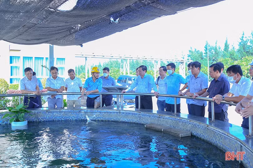 Đoàn công tác tỉnh Ninh Thuận tham quan Khu kinh tế Vũng Áng