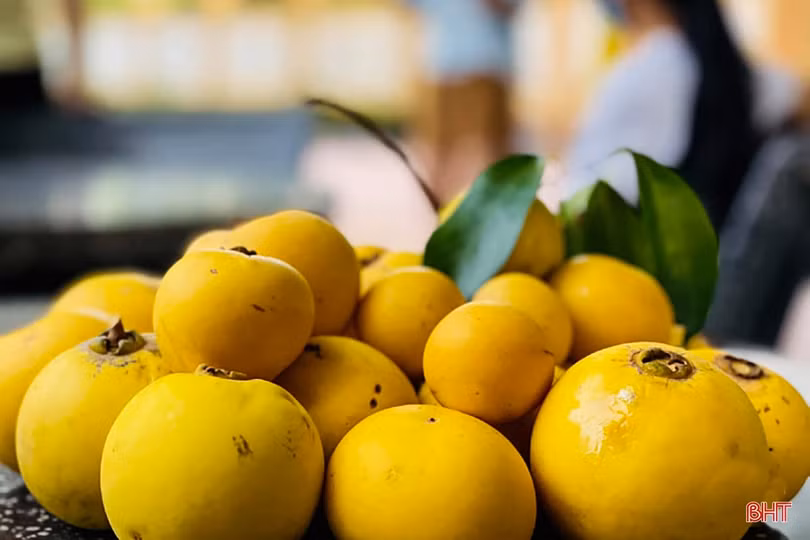 Tháng Tám - Mùa đã thu rồi