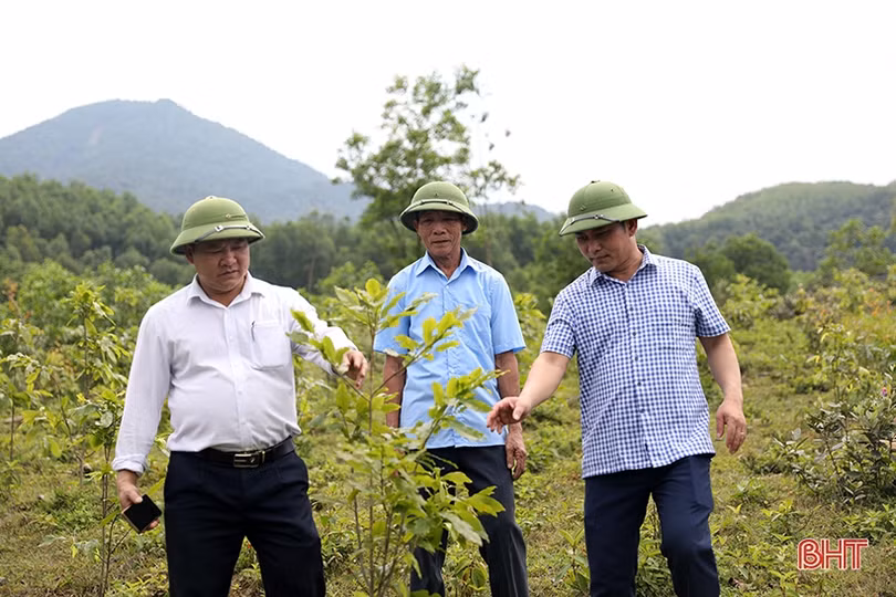 Kỳ Hoa đứng trước nguy cơ “lỡ hẹn” đạt chuẩn xã NTM nâng cao