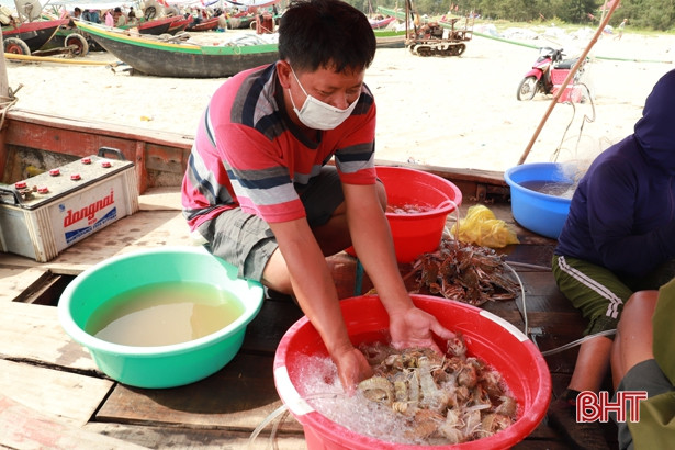 Ngư dân Xuân Yên đánh bắt được nhiều loại hải sản có giá trị