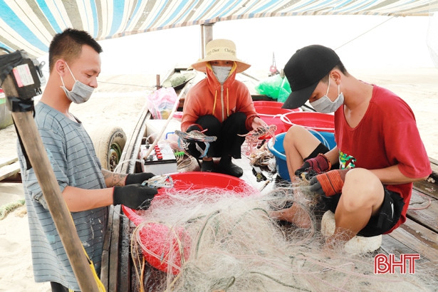 Ngư dân Xuân Yên đánh bắt được nhiều loại hải sản có giá trị