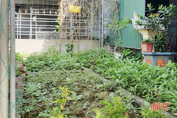 Người dân vùng phong tỏa Tân Lâm Hương bình tĩnh “chiến đấu” với dịch bệnh ảnh 2 Người dân vùng phong tỏa Tân Lâm Hương bình tĩnh “chiến đấu” với dịch bệnh