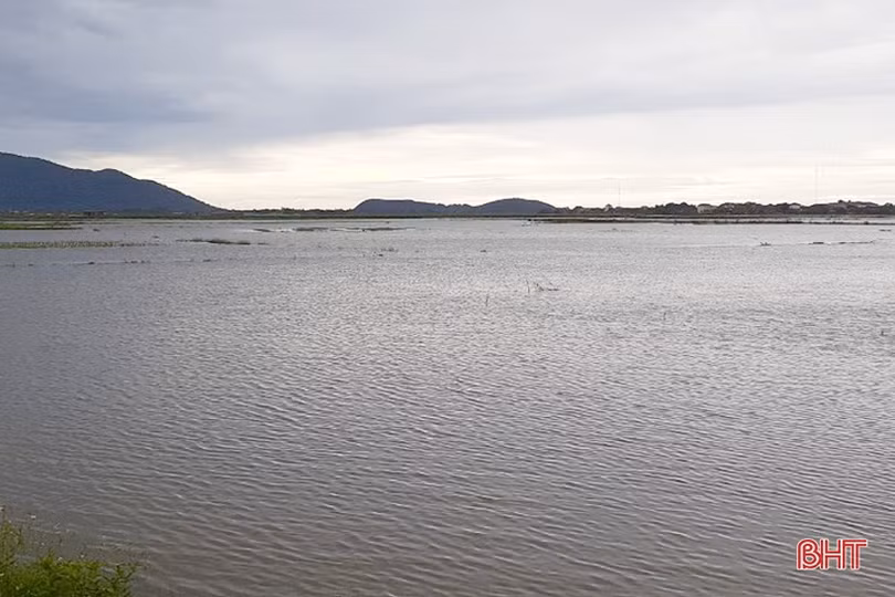 Hà Tĩnh: Mưa lớn gây ngập úng hơn 12.630 ha diện tích hoa màu và lúa hè thu