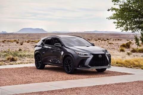 Lexus NX 2022 chính thức trình làng: Đẹp và ấn tượng hơn trước