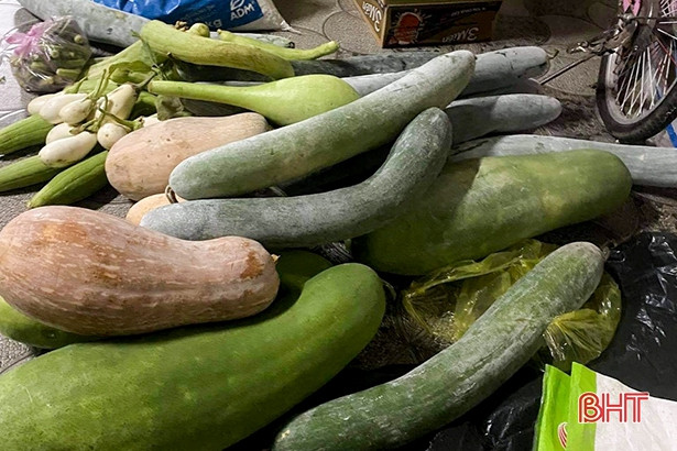 Phụ nữ Hà Tĩnh góp lương thực, nấu cơm hỗ trợ các khu cách ly 