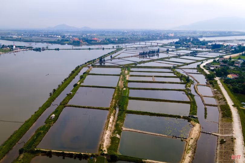 Mở lối tiêu thụ nông sản ở vùng cách ly tập trung TP Hà Tĩnh