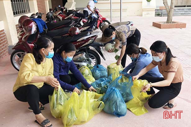 Hội Nông dân Hà Tĩnh hỗ trợ tiêu thụ dưa lưới giúp hội viên