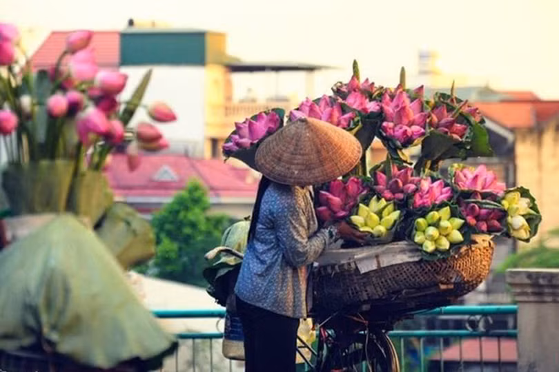 Ngan ngát những mùa sen