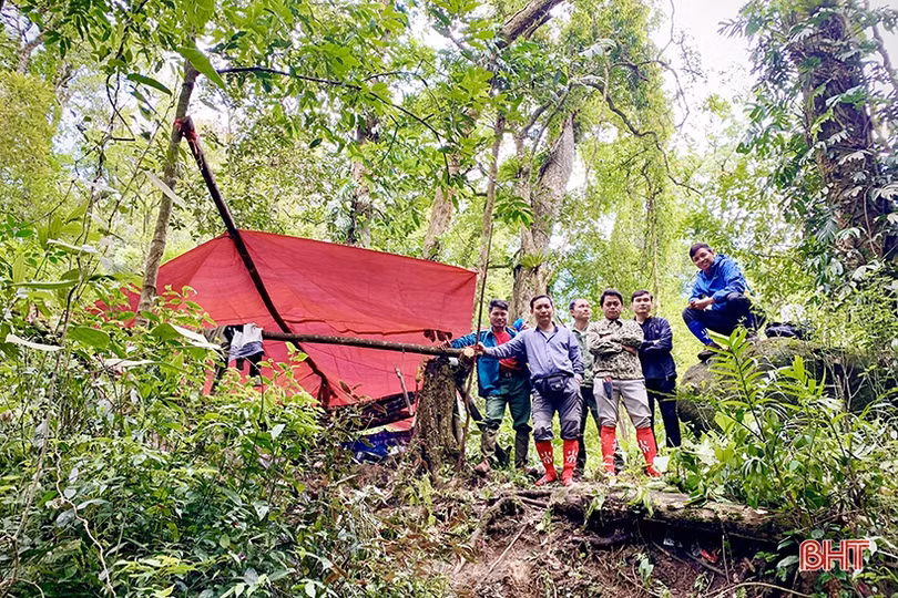 Loài chuồn chuồn mới phát hiện tại Vườn Quốc gia Vũ Quang