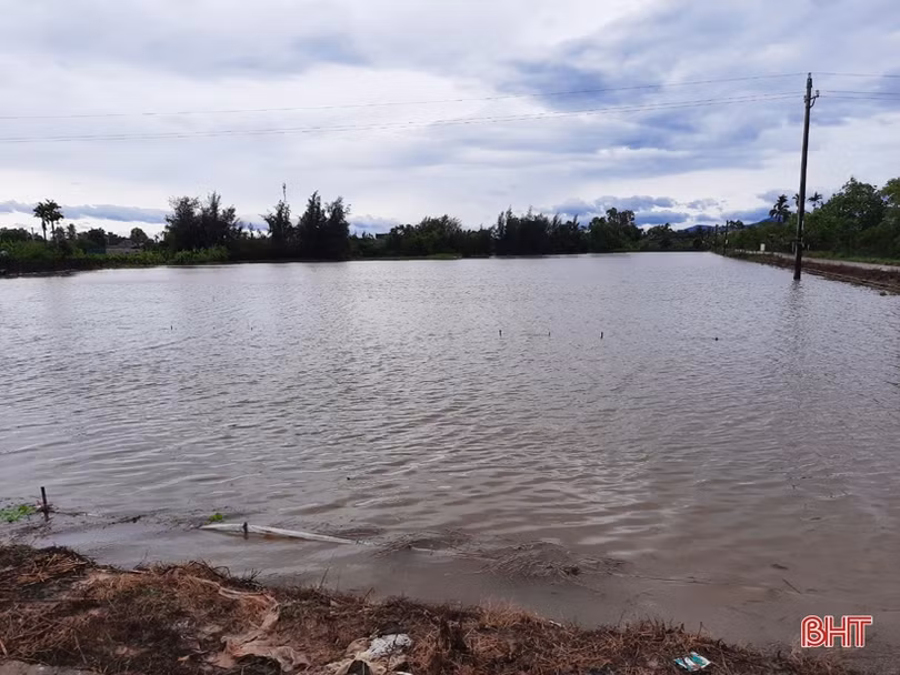 Hà Tĩnh: Mưa lớn gây ngập úng hơn 12.630 ha diện tích hoa màu và lúa hè thu